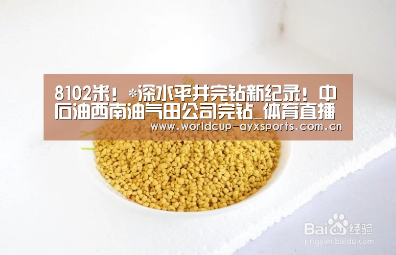 体育直播