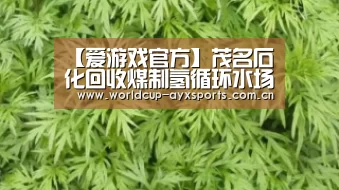 爱游戏直播