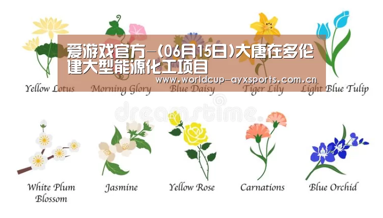 爱游戏官方